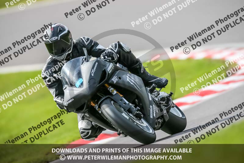 Oulton Park 21st March 2020;PJ Motorsport Photography 2020;anglesey;brands hatch;cadwell park;croft;donington park;enduro digital images;event digital images;eventdigitalimages;mallory;no limits;oulton park;peter wileman photography;racing digital images;silverstone;snetterton;trackday digital images;trackday photos;vmcc banbury run;welsh 2 day enduro